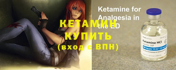 гашик Алексин