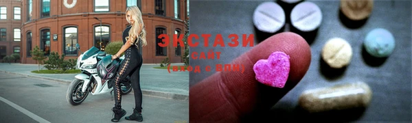 гашик Алексин