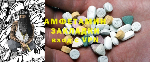 гашик Алексин