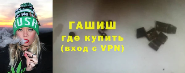гашик Алексин