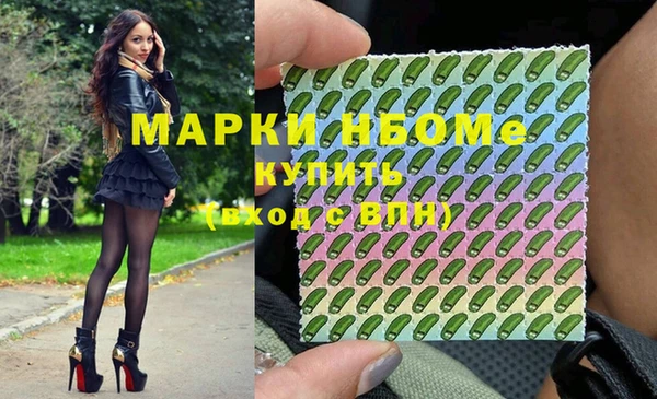 apvp Алзамай
