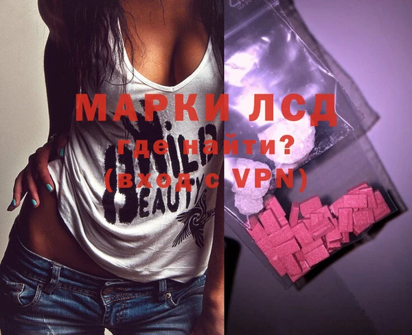 гашик Алексин