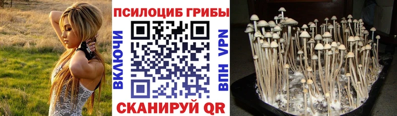 Галлюциногенные грибы прущие грибы  Курганинск 
